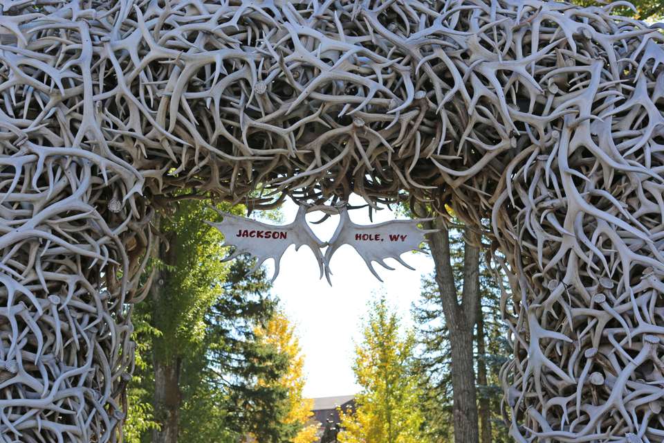 America's Cowboy Country  - Collette Tours - USA - Image 4