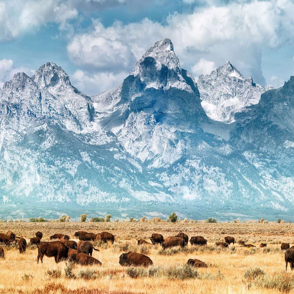 American Parks Trail - Insight Vacations - USA - Image 5