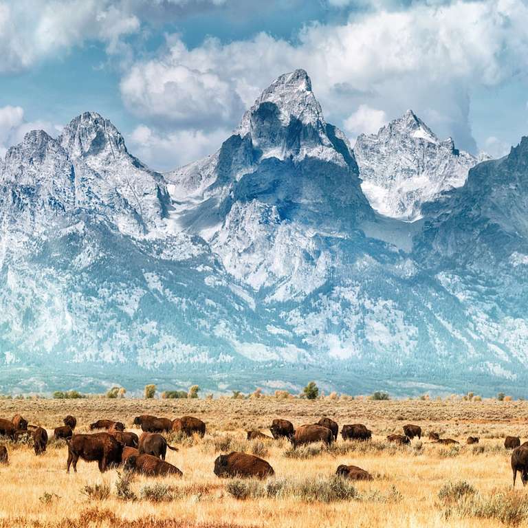 American Parks Trail trip - alternative tour available