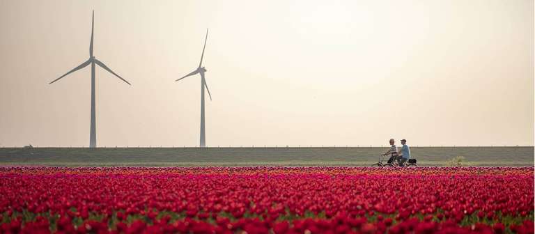 Amsterdam to Brussels by Bike