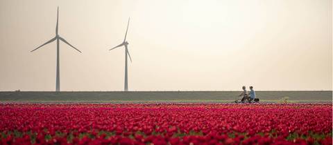 Walking Tour: Amsterdam To Brussels By Bike