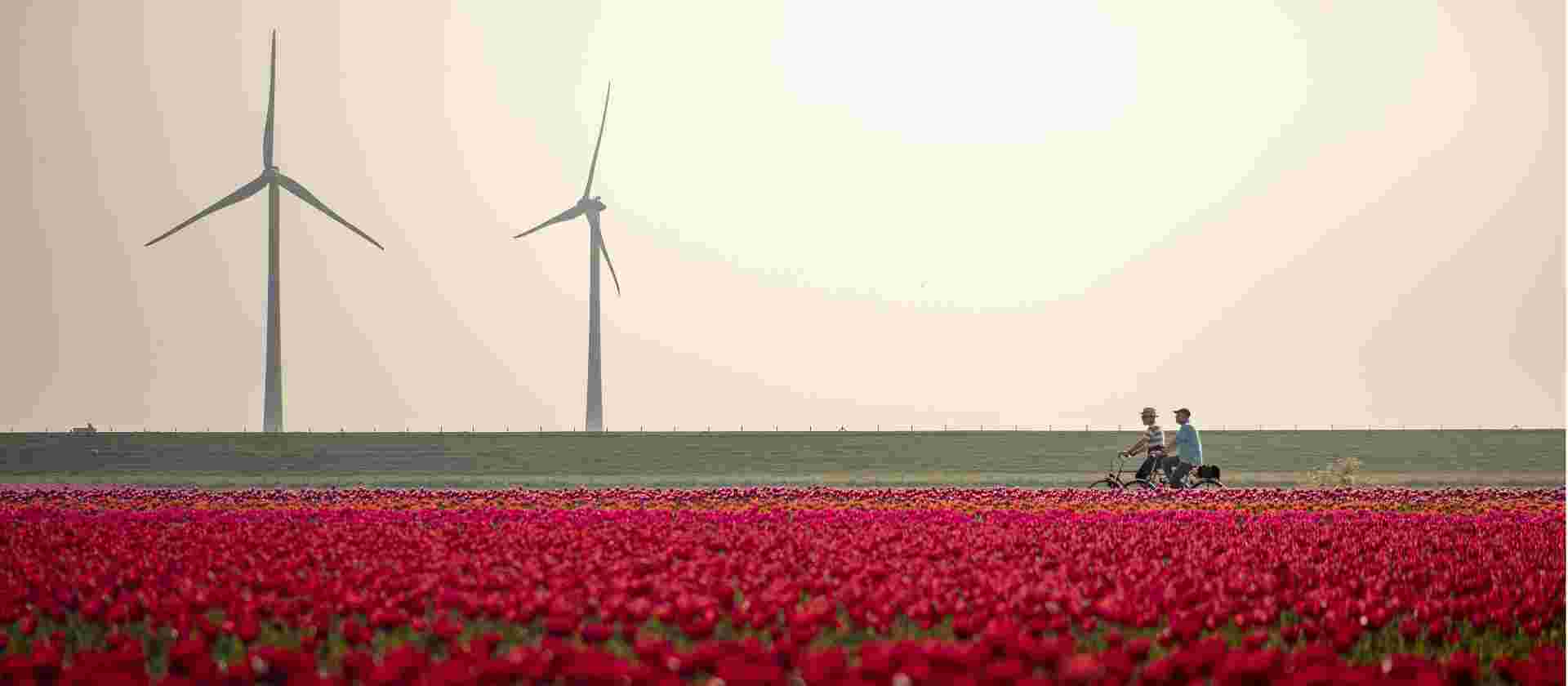 Amsterdam to Brussels by Bike