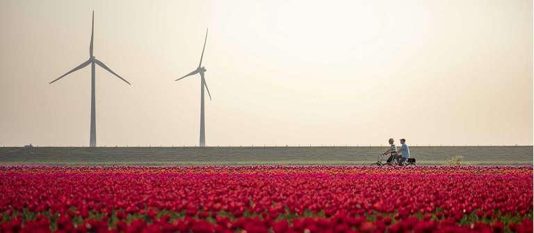 Amsterdam to Brussels by Bike