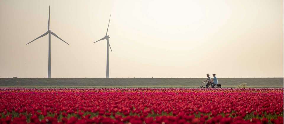 Amsterdam to Brussels by Bike - Utracks - Holland - Image 1