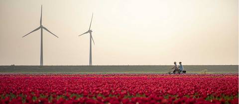 Amsterdam To Brussels By Bike - Fall Tours