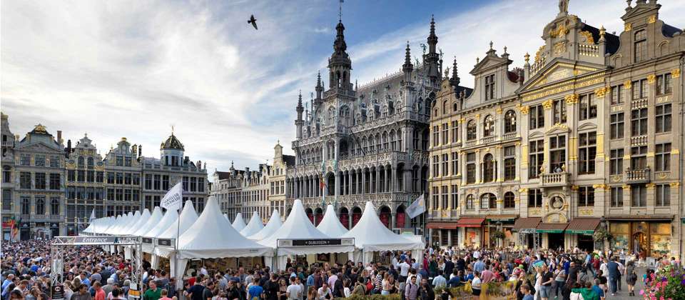 Amsterdam to Brussels by Bike - Utracks - Holland - Image 6