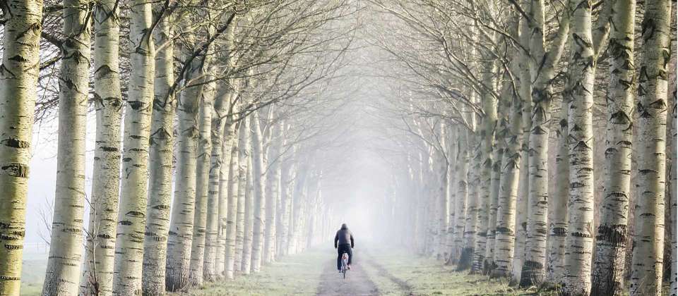 Amsterdam to Brussels by Bike - Utracks - Holland - Image 8