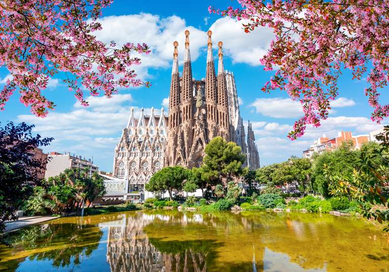 Amsterdam to Rome trip - alternative tour available