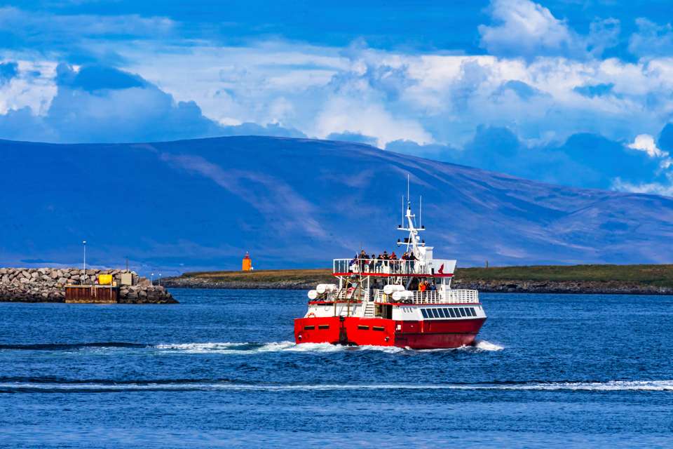 An Icelandic Adventure - undefined - Image 4