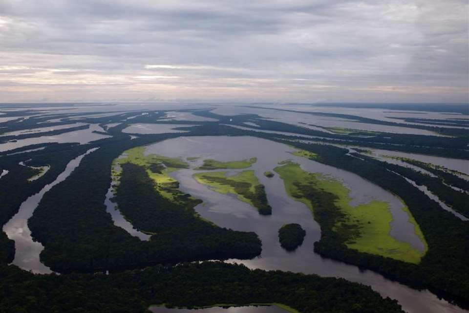 Anavilhanas Archipelago Walking In Manaus - Tangol Tours - Brazil - Image 4
