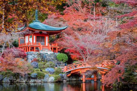 Food Tour: Ancient & Modern Japan