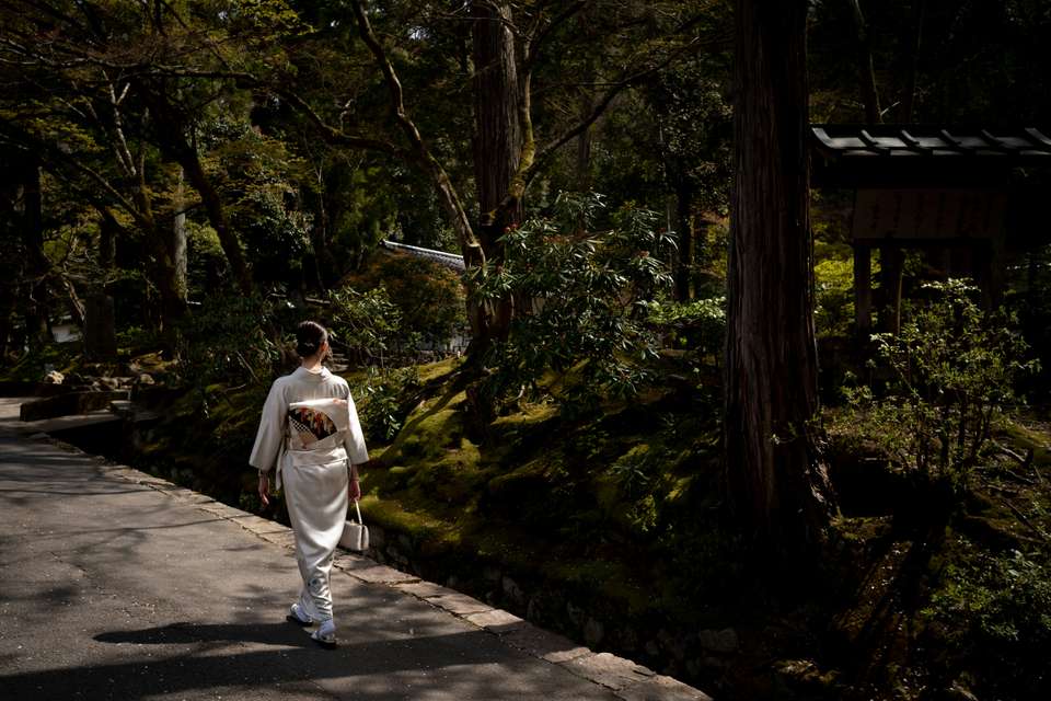 Ancient & Modern Japan - Exodus Adventure Travels - Japan - Image 10