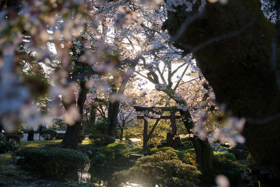Ancient & Modern Japan - Exodus Adventure Travels - Japan - Image 9