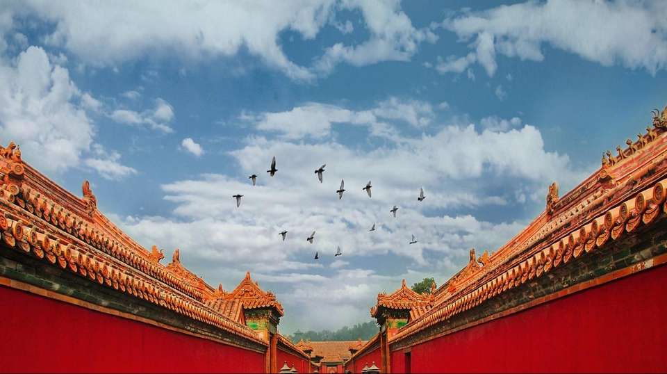 Ancient Capitals of Xi'an and Beijing in 5 Days  - Shanghai Advisor Tour - China - Image 6