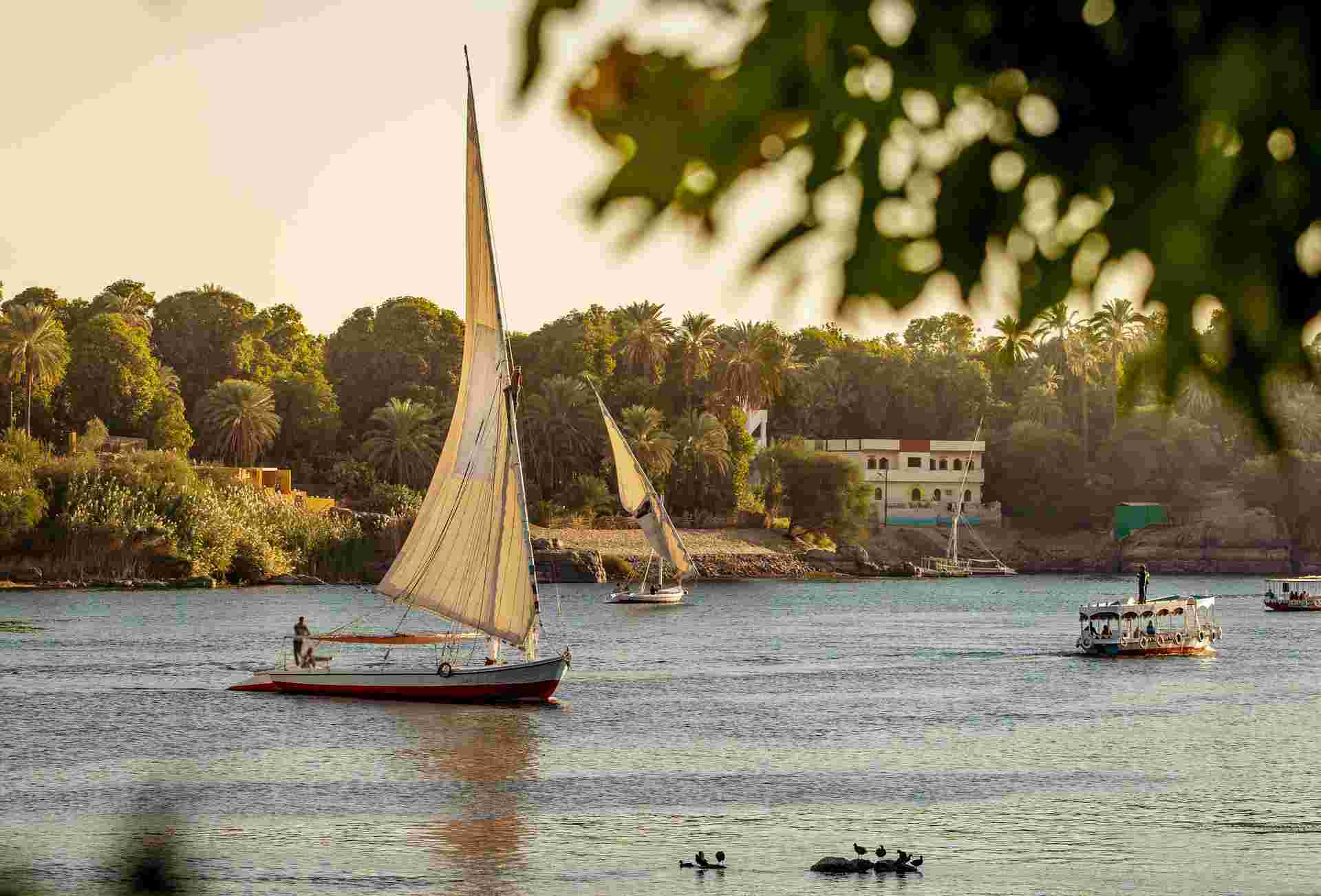 Ancient Egypt & Nile Cruise – Premium Adventure
