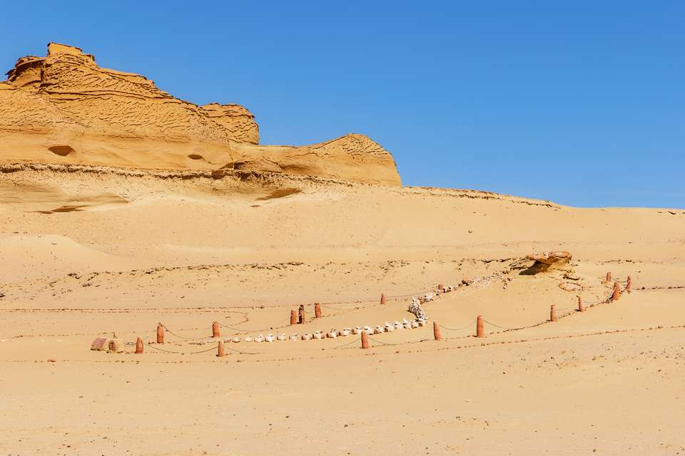 Ancient Egypt: Pyramids & Deserts - Trutravels - Egypt - Image 8
