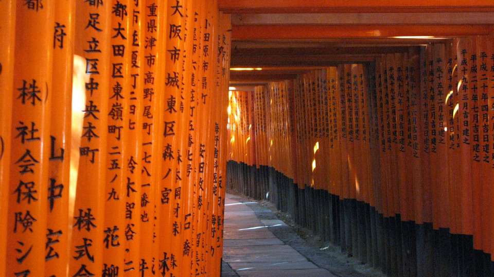 Ancient Highway Tour - undefined - Image 6