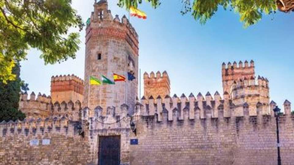 Andalusia by Cruise: A Journey through Art and History (port-to-port cruise) - Croisieurope - Spain - Image 5