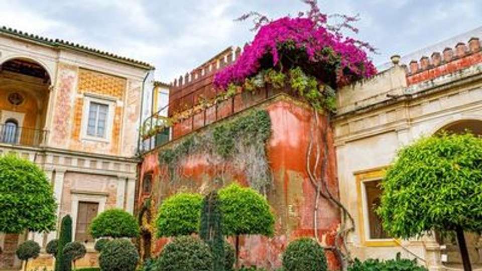 Andalusia by Cruise: A Journey through Art and History (port-to-port cruise) - Croisieurope - Spain - Image 7