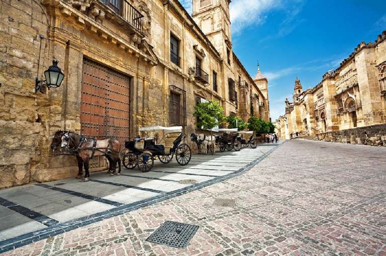 Seville Art and architecture Tour: Andalusian Feelings