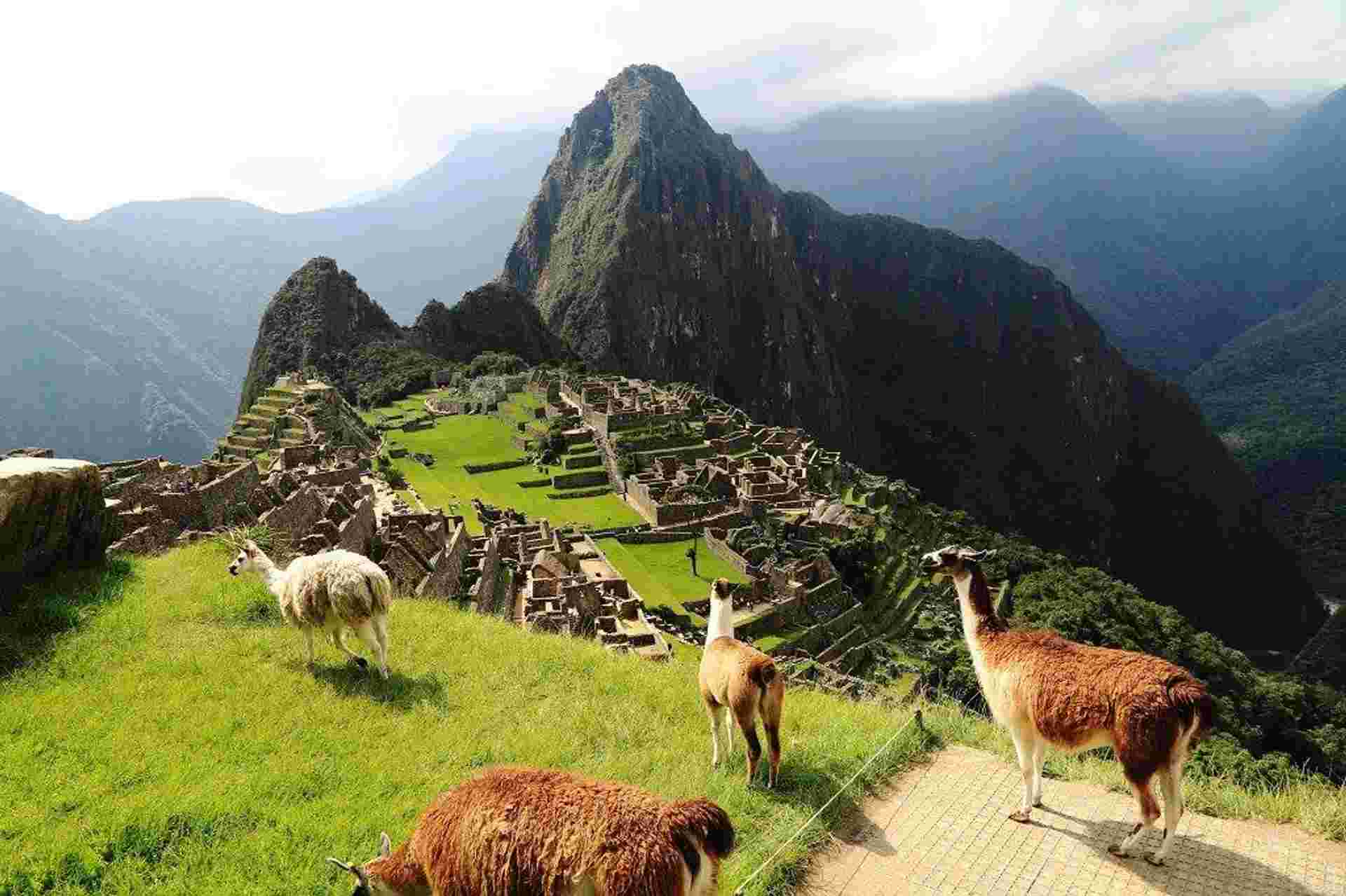 Andean Trilogy