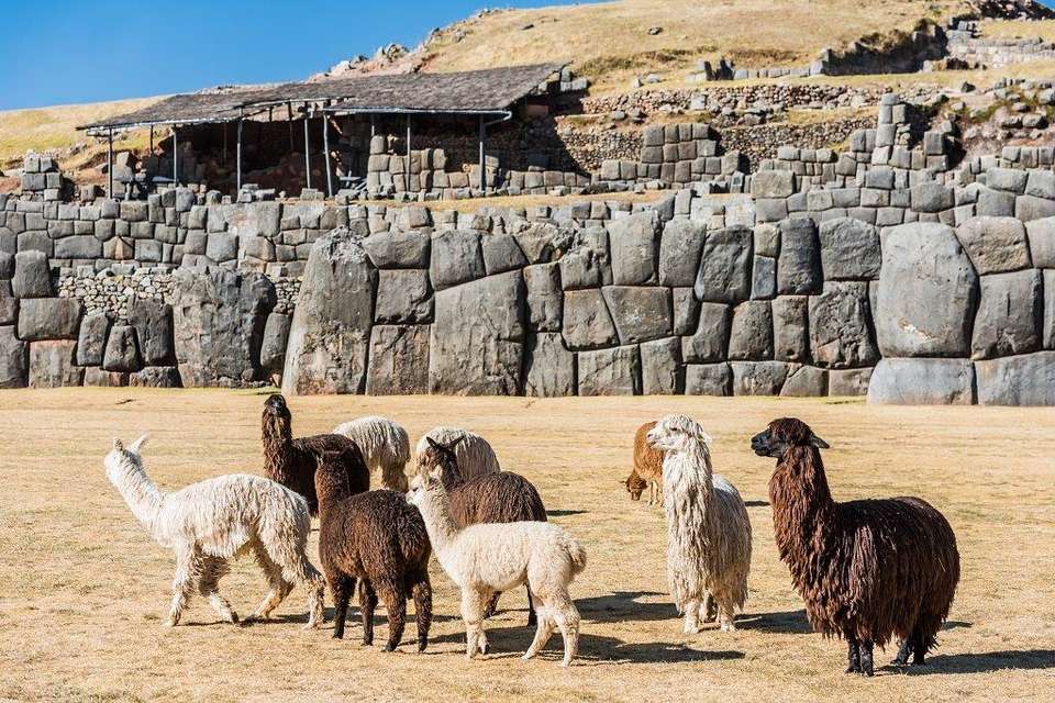 Andean Trilogy - Destination Services - Peru - Image 15