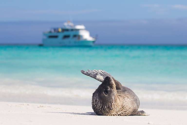 Andes & Galapagos (multi Country) trip - alternative tour available
