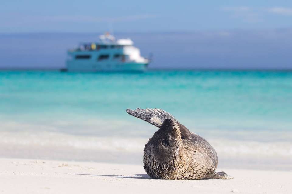 Andes & Galapagos (multi Country) - Destination Services - Peru - Image 1