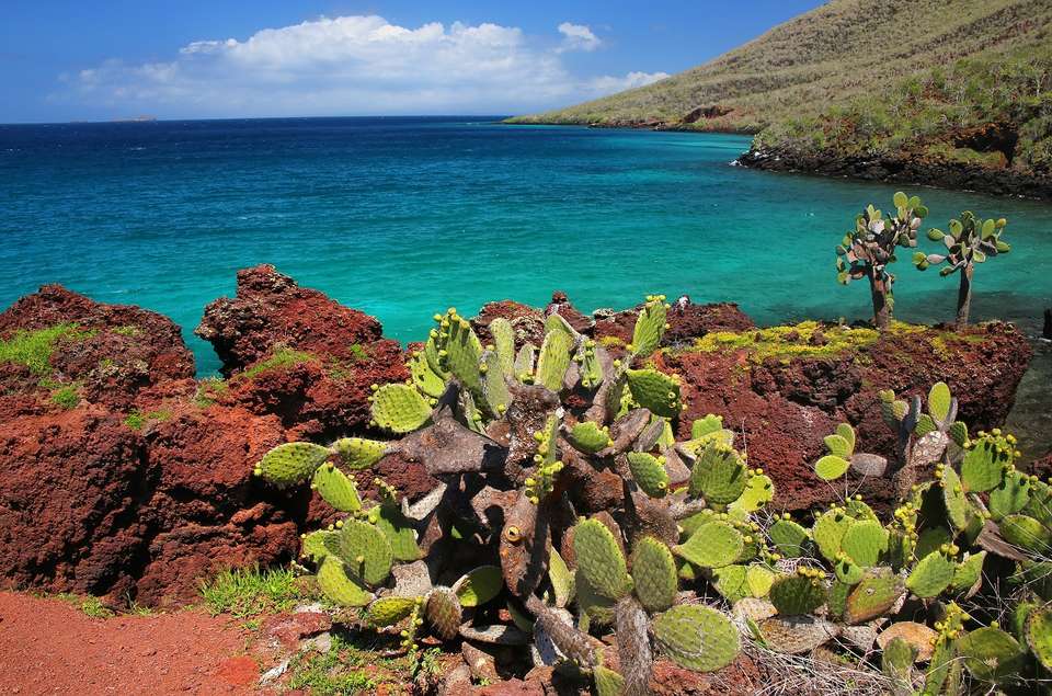 Andes & Galapagos (multi Country) - Destination Services - Peru - Image 15