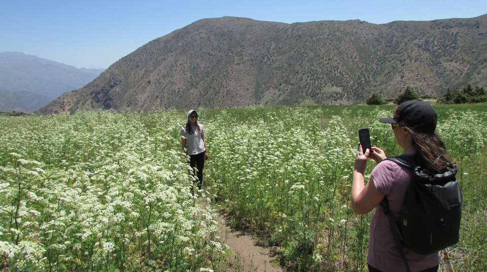 Andes Day Hike - in National Park Yerba Loca - Chile Off Track - Chile - Image 5