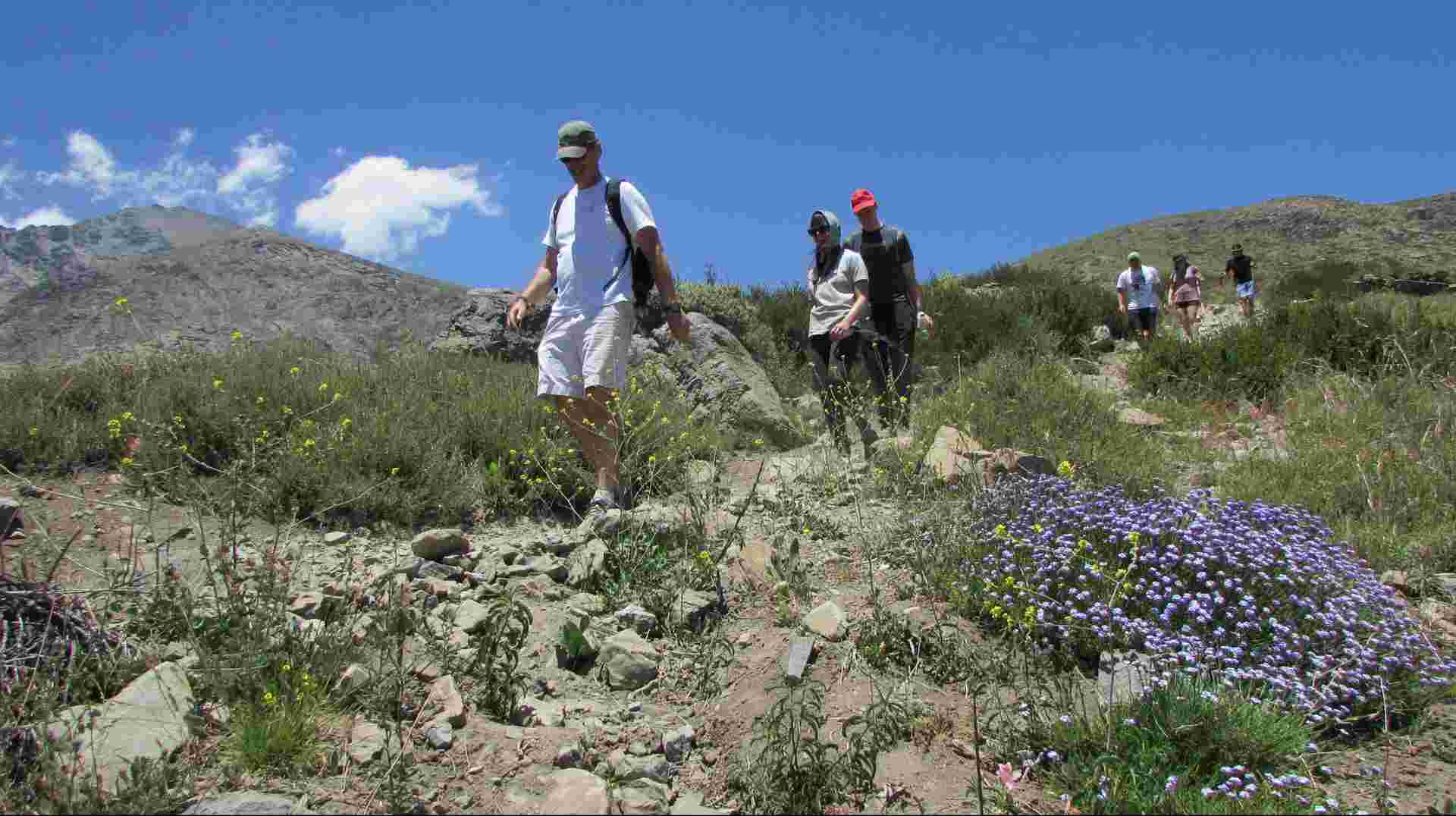 Andes Day Hike - in National Park Yerba Loca