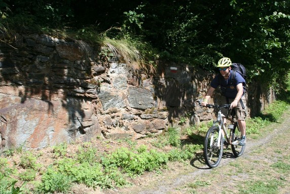 Image 5 of 7