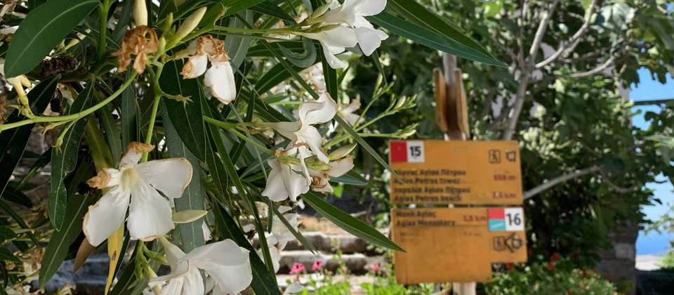 Andros Trail Self Guided Walk - Utracks - Greece