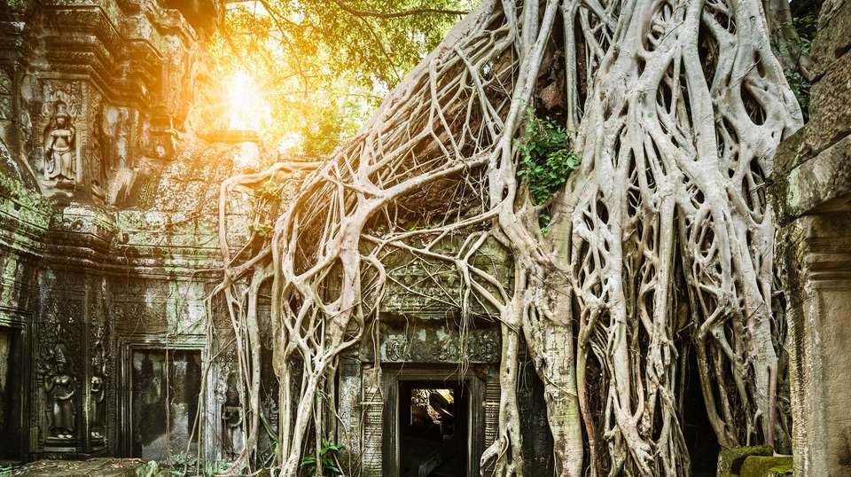 Angkor Wat Sunrise Tour - Small Group - V Happy Travel - Cambodia - Image 9