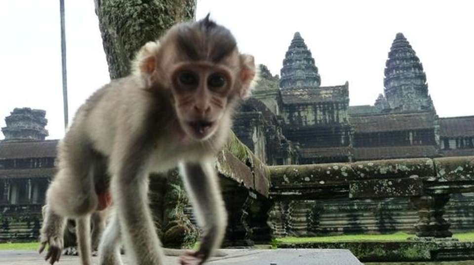 Angkor Wat Tour - Balloon Ride - Khmer Lunch - Green Era Travel - Cambodia - Image 2