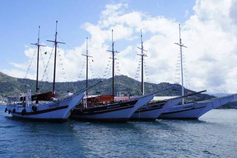 Angra Dos Reis Day Trip With Boat Tour - 1 Day