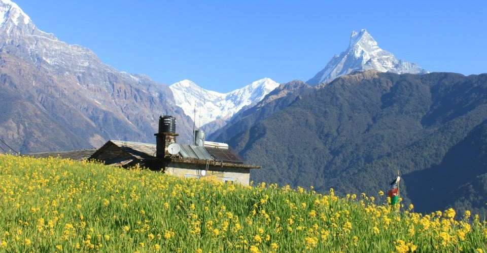 Annapurna Base Camp trek - Exciting Nepal Treks And Expedition - Nepal - Image 2