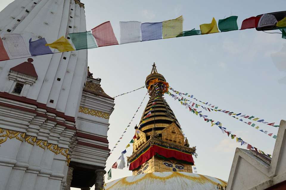 Annapurna Base Camp Trek - Intrepid Travel - Nepal - Image 4