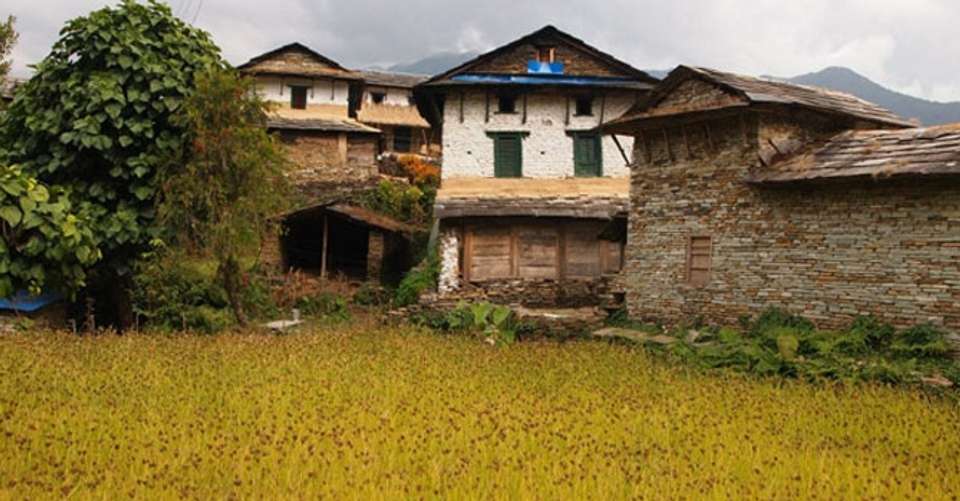 Annapurna Base Camp Trek - Unique Path Trekking & Expedition (p) Ltd. - Nepal - Image 4