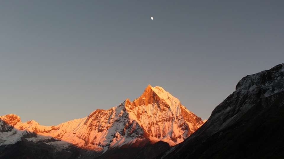 Annapurna Base Camp Trek - Unique Adventure International Pvt Ltd - Nepal - Image 4