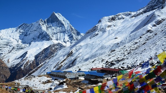 Image 2 of 11