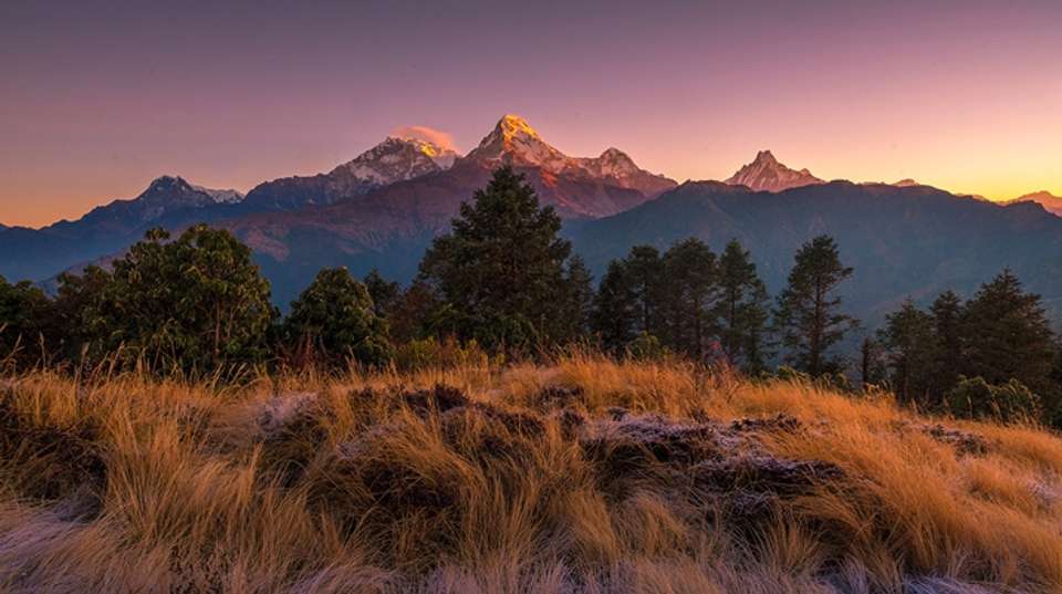 Annapurna Base Camp Trek - Alpine Ramble Treks - Nepal - Image 10