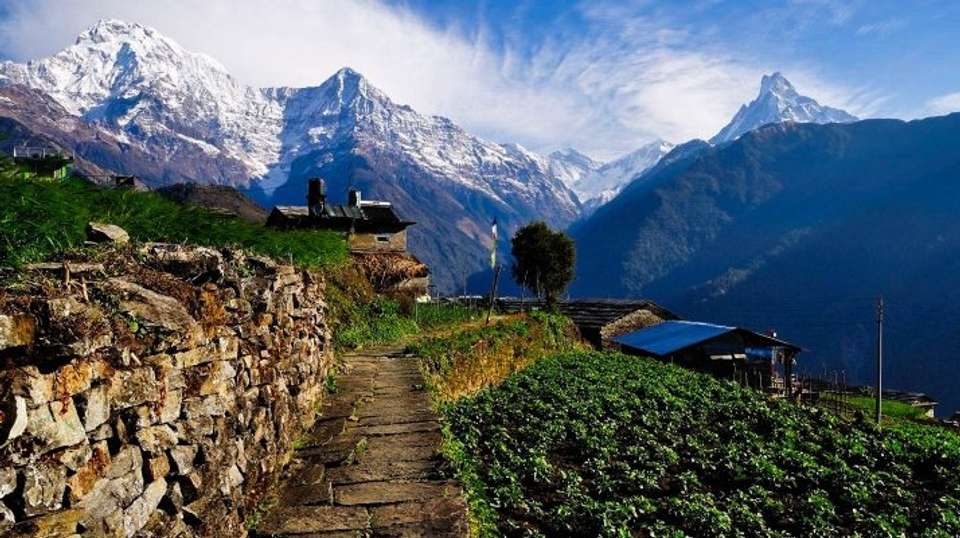 Annapurna Base Camp Trek - Sherpa Expedition And Trekking Pvt. Ltd - Nepal - Image 3