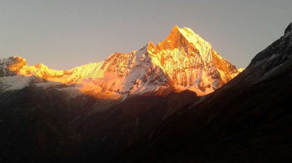 Annapurna Base Camp Trek - Nepal Eco Adventure Pvt Ltd - Nepal - Image 8