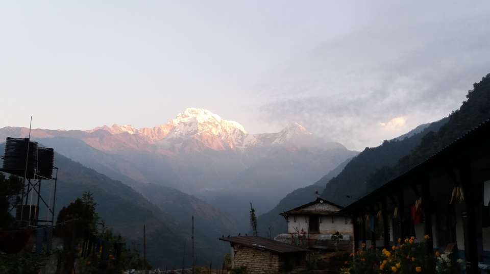 Annapurna Base Camp Trek - 9 Days - Nepal Lion Tours And Treks Pvt Ltd - Nepal - Image 7