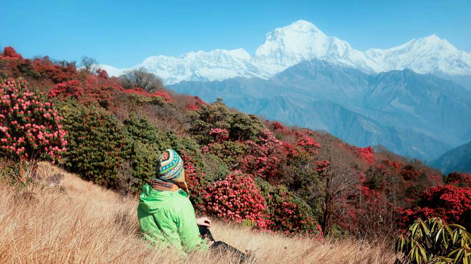 Annapurna Base Camp Trek - Travel Max Guide - Nepal - Image 4