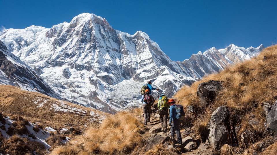 Annapurna Base Camp Trek - Travel Max Guide - Nepal - Image 8