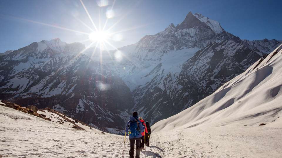 Annapurna Base Camp Trek - Travel Max Guide - Nepal - Image 9