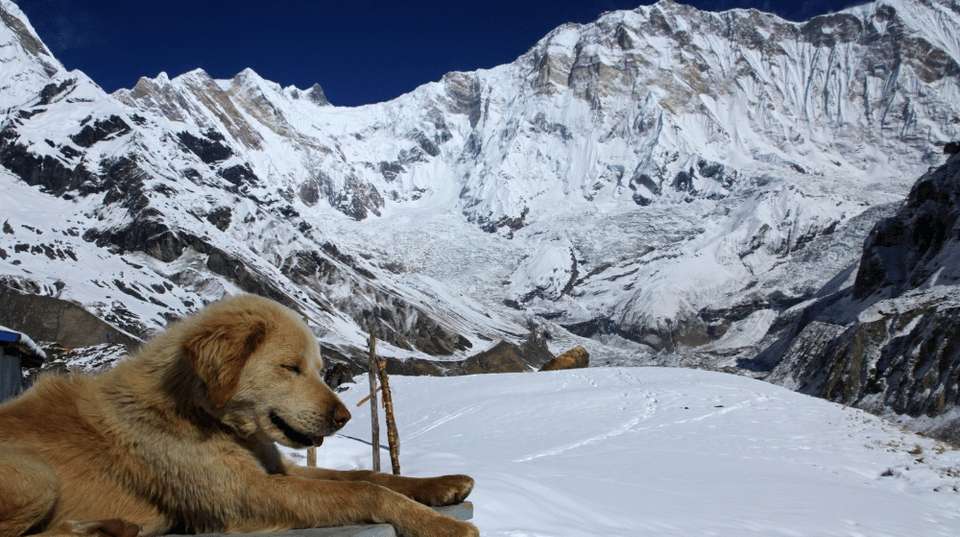 Annapurna Base Camp Trek via Poon Hill - Altitude Himalaya Pvt. Ltd. - Nepal - Image 2