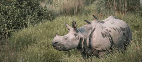Annapurna Chitwan